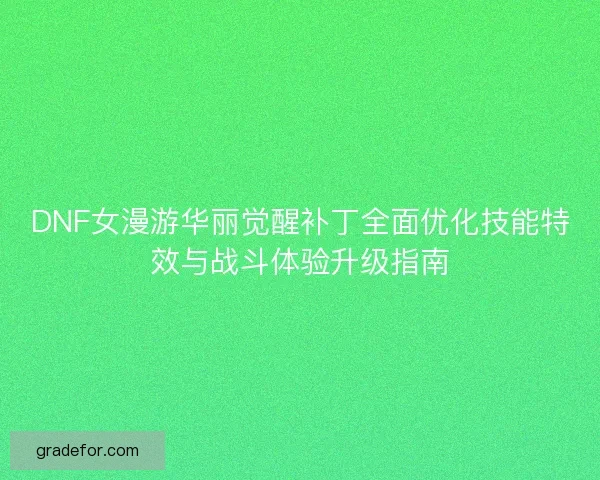 DNF女漫游华丽觉醒补丁全面优化技能特效与战斗体验升级指南